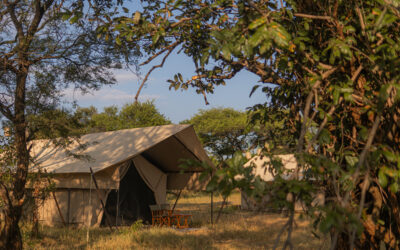 Intimate Places Retains Ndutu Campsite