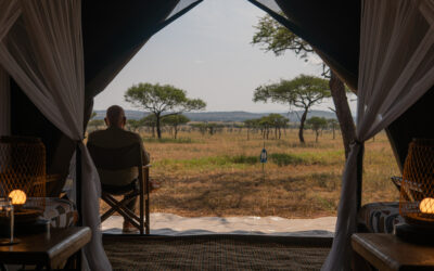 Launch of New Website