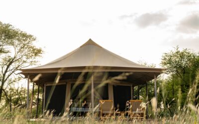 Intimate Camp Zebra Expands to 16 Tents to Meet Growing Demand.